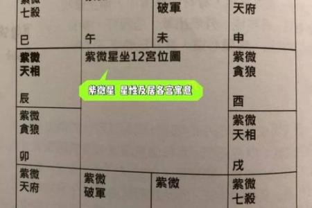 紫微斗数之父母宫与诸星，太阳星在父母宫是什么意思？