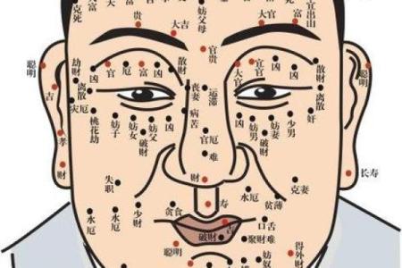 相面算命看见鼻孔好吗