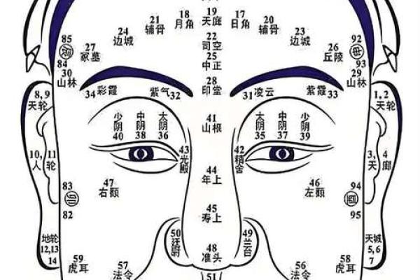 面部衰老八字图 面部衰老八字图