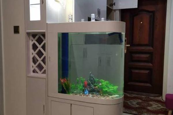 鱼缸在风水中的摆放 鱼缸在风水中的摆放