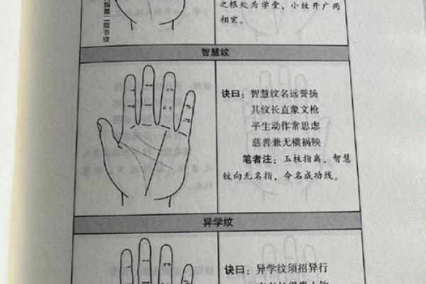 看手纹测命运图解 手相学图解算命大全