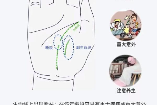 看手纹测命运图解 手相学图解算命大全