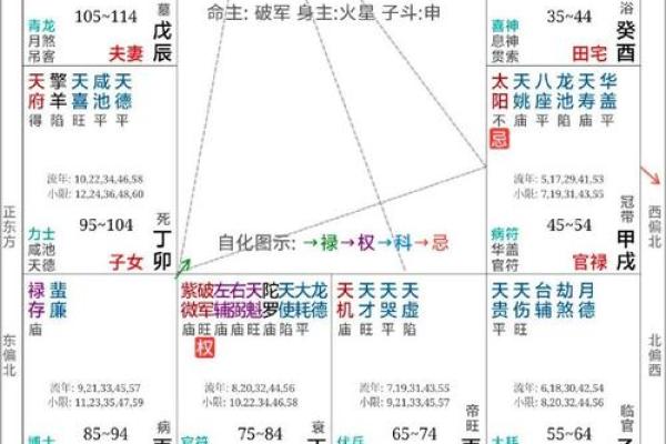 国学研究所紫微斗数记录 紫微星国学? 国学研究所紫微斗数记录 紫微星国学?