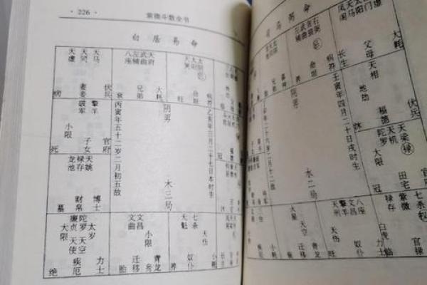 国学研究所紫微斗数记录 紫微星国学? 国学研究所紫微斗数记录 紫微星国学?