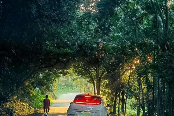 风水角度为什么做梦老是梦到找不到回家的路 风水角度为什么做梦老是梦到找不到回家的路