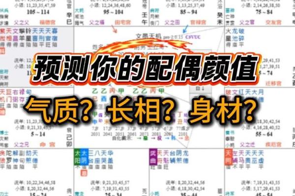 如何紫薇斗数看配偶 如何紫薇斗数看配偶