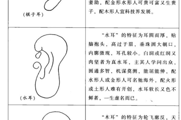 风水面相耳朵耳垂大是不是很有福气 风水面相耳朵耳垂大是不是很有福气