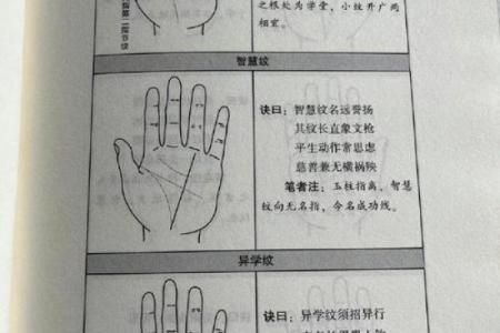 看手纹测命运图解 手相学图解算命大全