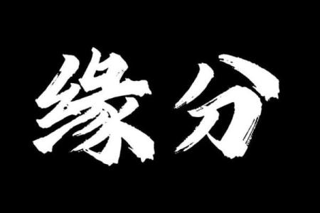 免费缘分测试视频下载网 在线缘分测试免费？