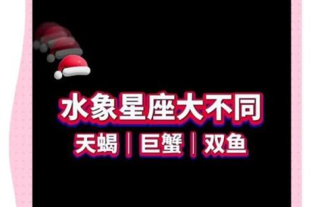 水象星座适合什么人