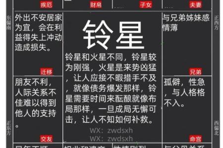 紫微斗数之仆役宫在申宫，是什么意思？