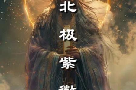 年天降紫薇星是后