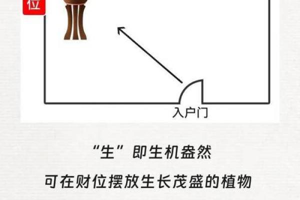 八字财位不是看财，看的是啥呢