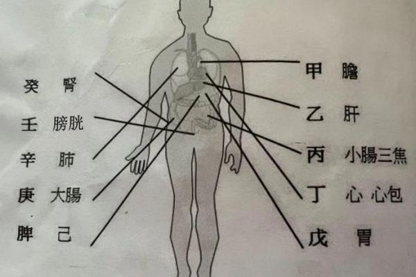 八字如何看健康与疾病 (二) 八字如何看健康与疾病 (二)