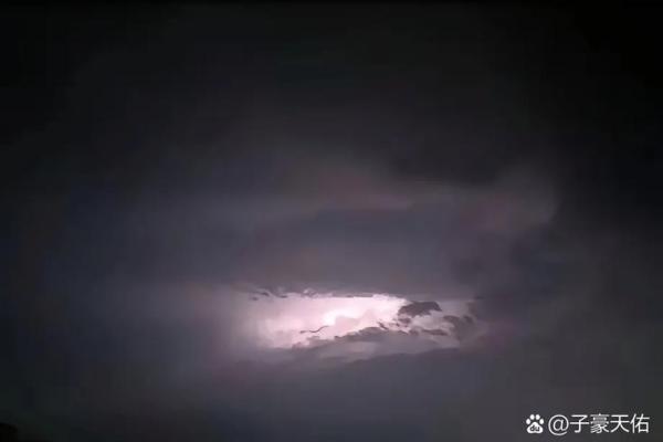 算命人说我是蛟龙 蛟龙命好吗 算命人说我是蛟龙 蛟龙命好吗