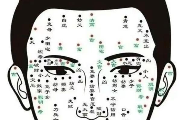 脸上黑痣算命图解吉凶 脸上黑痣算命图解吉凶