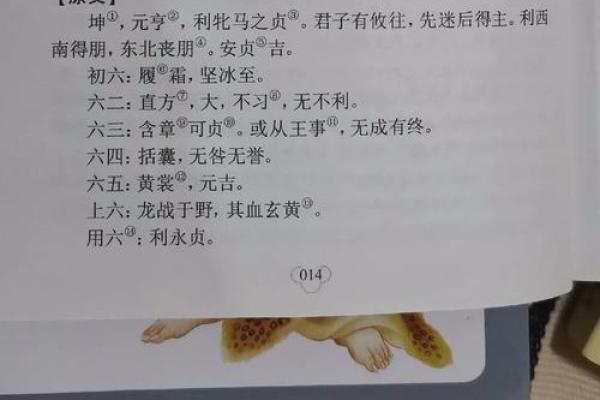 紫微斗数之八卦万物类象:坤卦详解 紫微斗数之八卦万物类象:坤卦详解