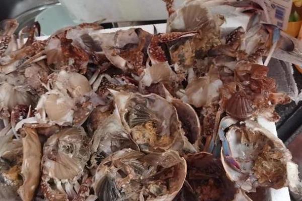 哪个星座的人最喜欢吃螃蟹 哪个星座的人最喜欢吃螃蟹