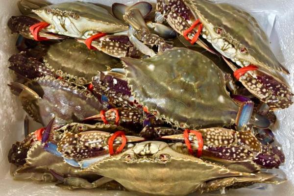 哪个星座的人最喜欢吃螃蟹 哪个星座的人最喜欢吃螃蟹