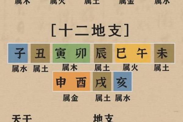 命理八字哪里学的好呢男 命理八字哪里学的好呢男