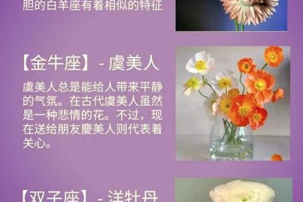 十二星座合适养什么绿植 十二星座合适养什么绿植