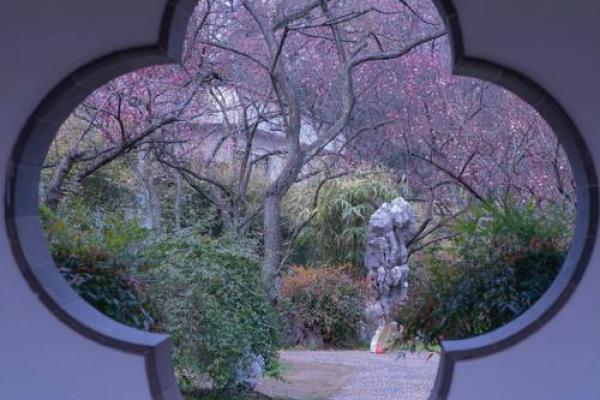 梅花窗花风水 梅花窗花风水