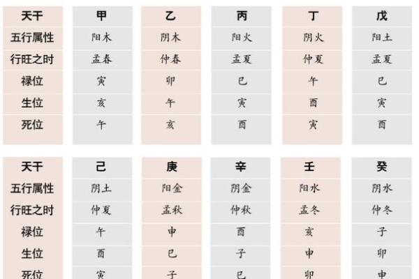 周易八字命理学 周易八字命理学详解