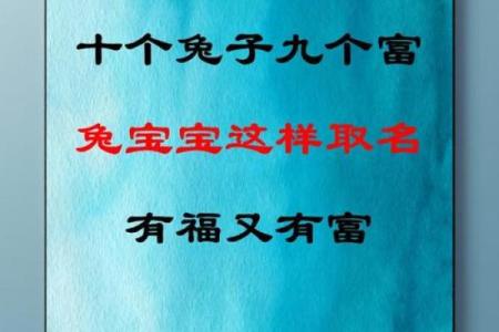 兔宝宝生辰八字