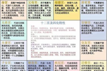 紫薇斗数相貌宫在哪