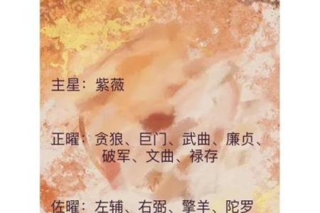 紫微斗数之迁移宫与诸星，天相星在迁移宫是什么意思？