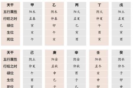 周易八字命理学 周易八字命理学详解