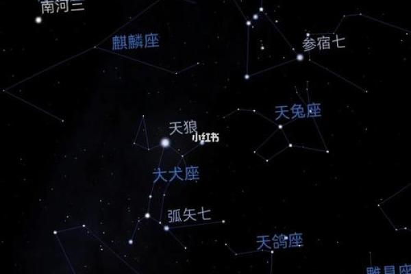猎户座中最亮的星是哪颗星座 猎户座中最亮的星是哪颗星座