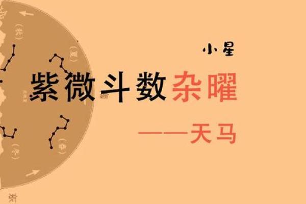 紫薇斗数天马一生机会 紫薇斗数天马一生机会