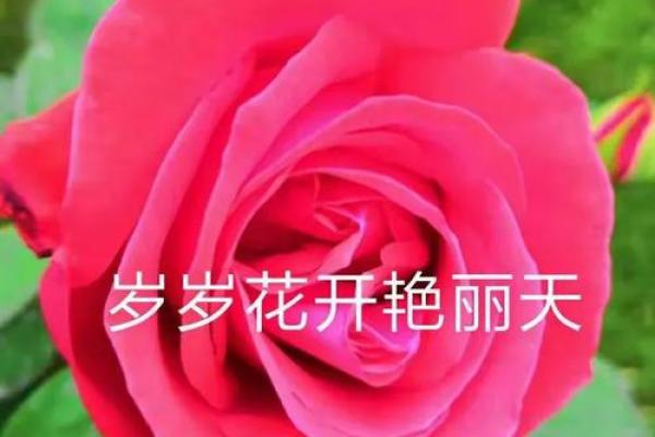 观音灵签前世姻缘今生遇 观音灵签前世姻缘今生遇