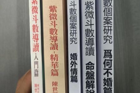 《紫薇斗数全书》下载