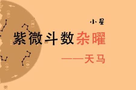 紫薇斗数天马一生机会