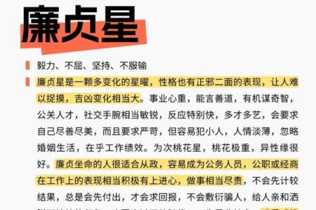 紫微斗数之子女宫与诸星，廉贞星在子女宫是什么意思？