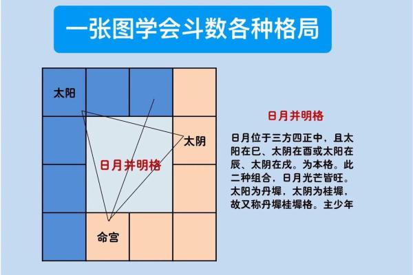 紫薇斗数有个叫天什么 紫薇斗数有个叫天什么