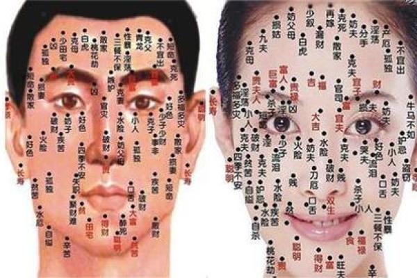 风流女人的面相痣算命 风流女人的面相痣算命