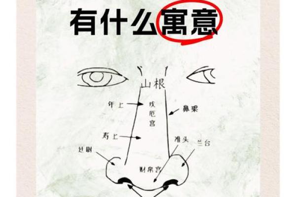 风流女人的面相痣算命 风流女人的面相痣算命