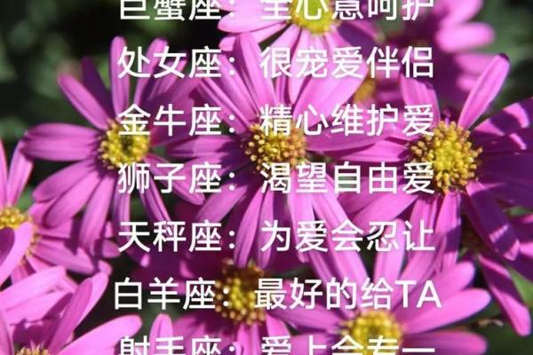 爱得太深 为了挽留对方愿意放低姿态的星座