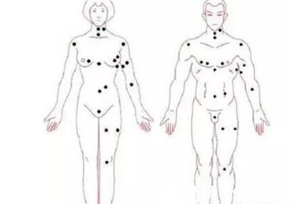 非你莫属女生现场算命