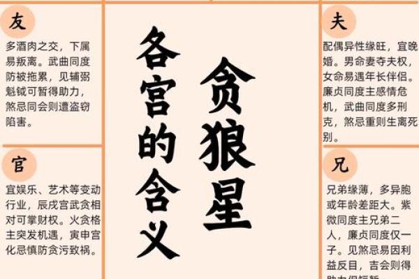 了无居士紫薇斗数 了无居士紫薇斗数