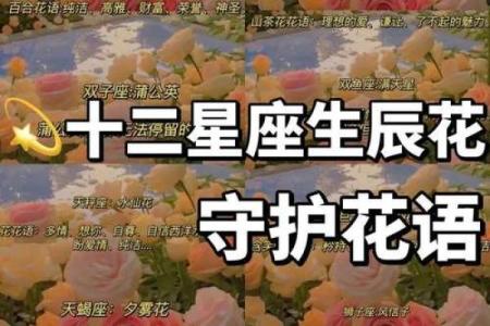 每个星座适合是么花