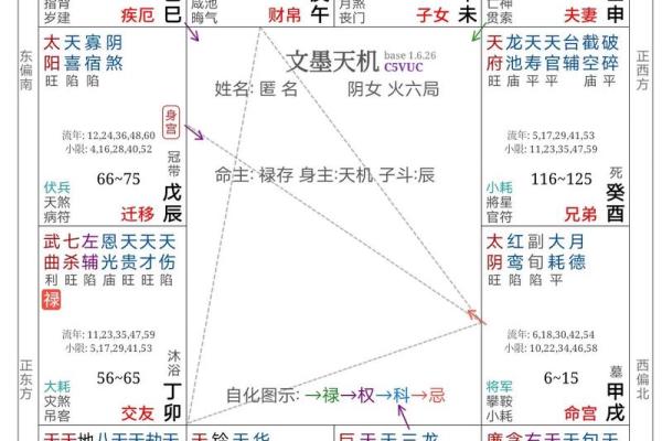 紫薇斗数子斗戌 紫薇斗数子斗戌