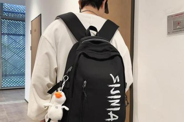 十二星座适合背什么的书包男