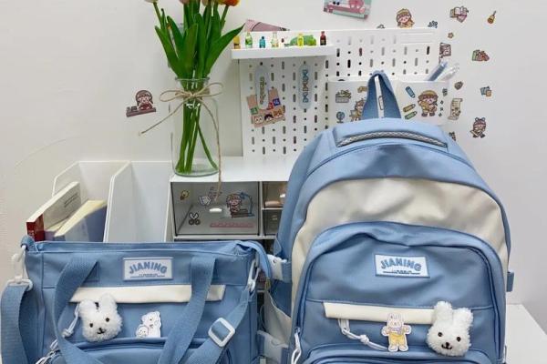 十二星座适合背什么的书包男