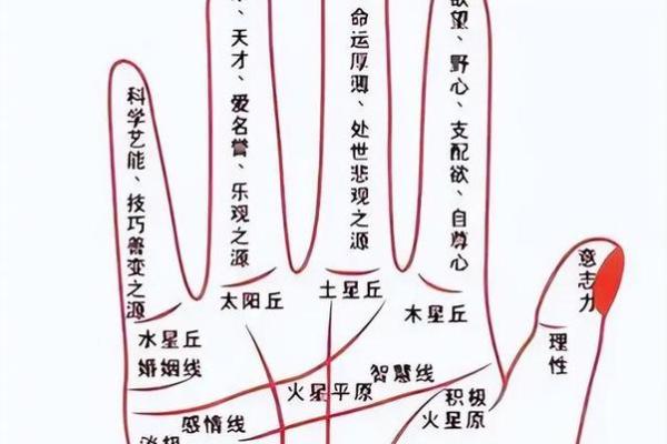 【手型算命】最基本的手型之哲学手