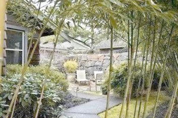 房子旁边竹子风水