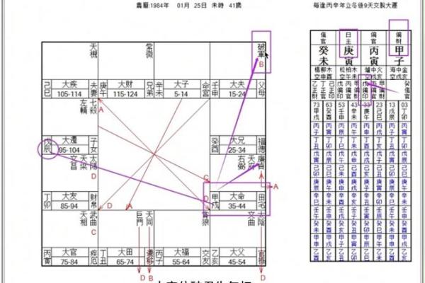 紫薇斗数打印出来命盘怎么看